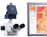 Cell Biology Tools